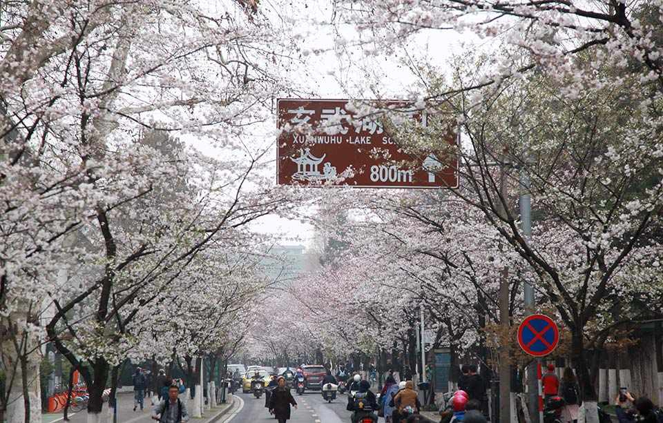 Archaeologists uncover ancient trading post dating back to 500 BCE