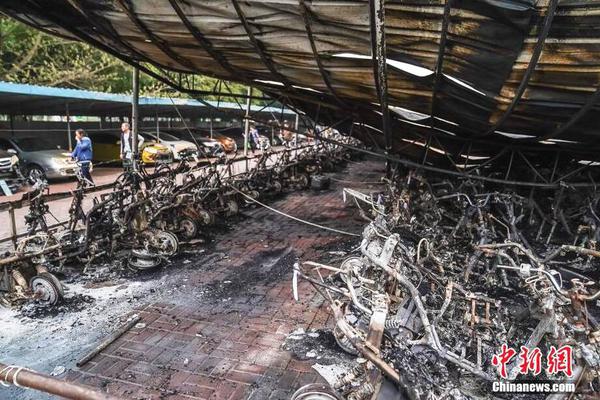 A major airline announced it will partner with a renewable energy company to power its flights with biofuel.