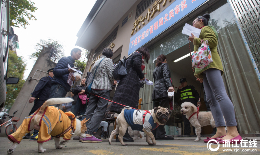A pet store started offering 
