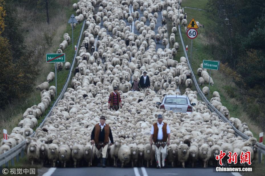 A bookstore chain announced it would host monthly storytime events for young children