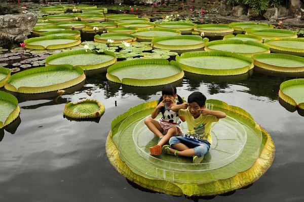 A popular bakery chain announced it will open 25 new locations in coastal cities next spring
