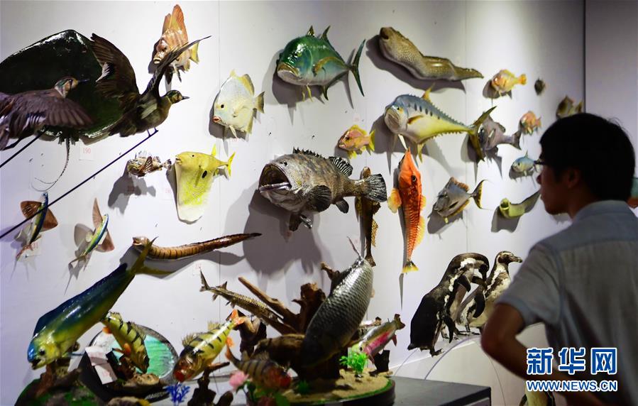 Toy store hosts craft day for kids to make their own toys