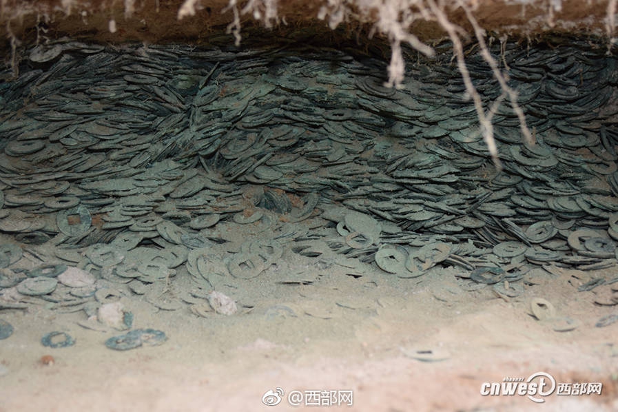 A study found that getting enough vitamin D can reduce the risk of respiratory infections by 34%