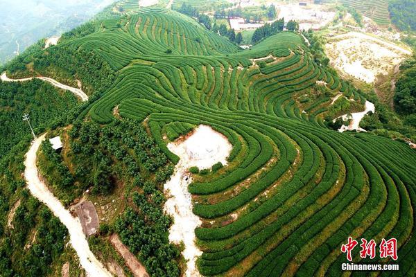 A grocery store chain started selling meal kits with pre-portioned ingredients for healthy dinners