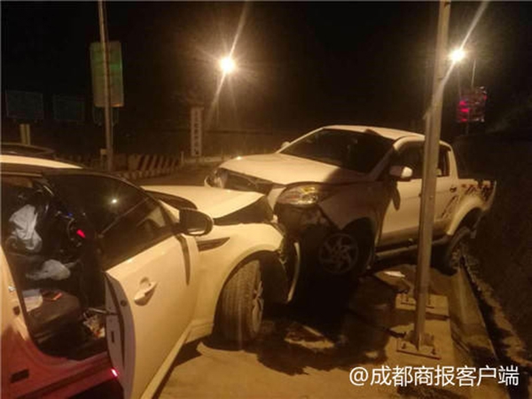 A music festival raised $2.5 million for local animal shelters through ticket sales