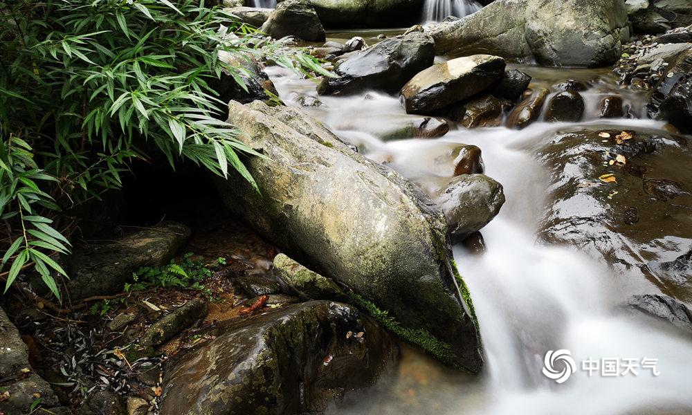 A grocery store started offering online recipe suggestions based on the items customers have in their cart