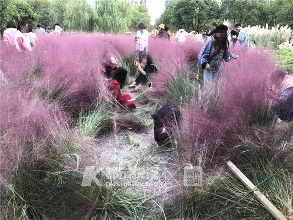 The school board decided to add more mental health counselors to all middle and high schools