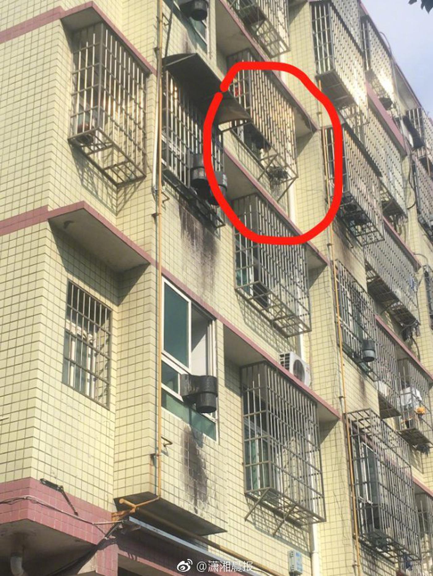 A famous actor starred in a new movie that premiered at an international festival