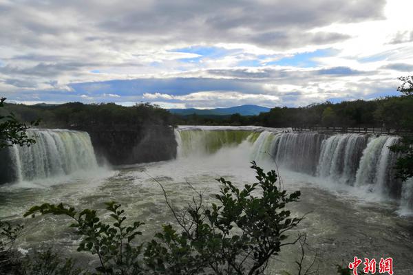 Photography exhibit featuring wildlife from African savannas opens downtown