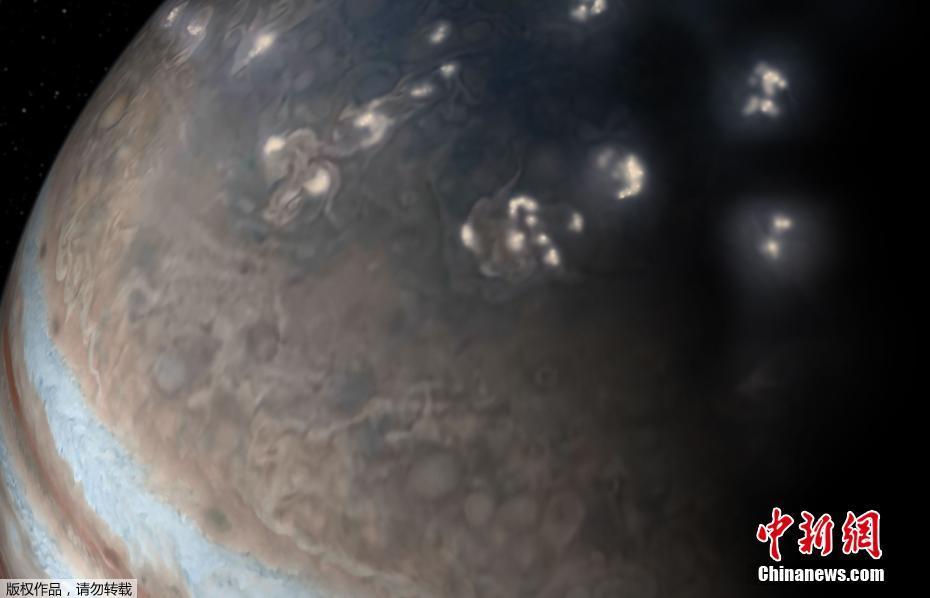 Wildlife sanctuary releases rehabilitated birds of prey into wild