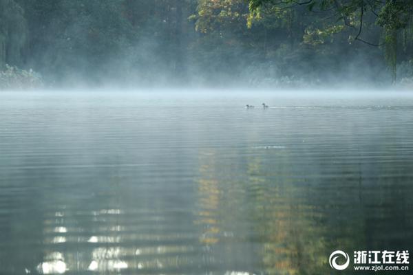 The government announced a tax cut for middle-income families to boost consumer spending