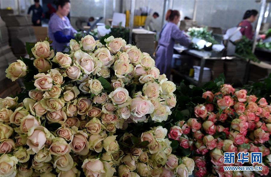 Researchers found that eating a handful of nuts daily reduces the risk of heart attacks