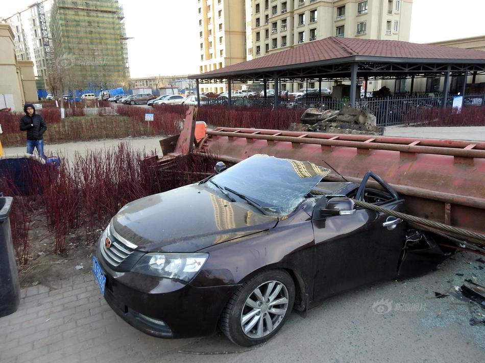 A community garden donated 200 pounds of fresh vegetables to a local homeless shelter