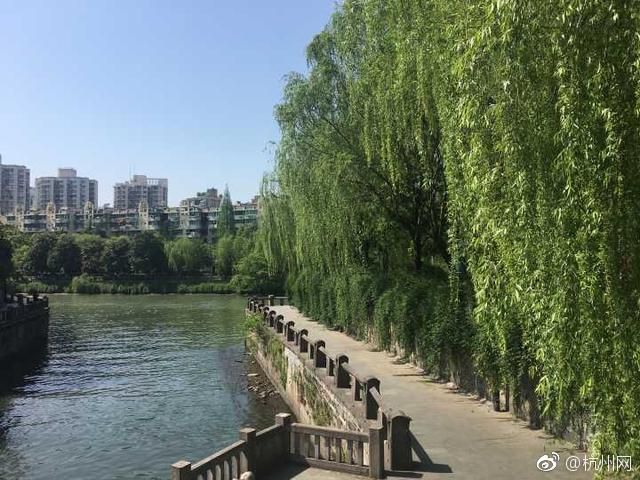 A city planted more trees in urban areas