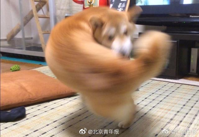 The government launched a campaign to promote tourism in small towns with historical sites