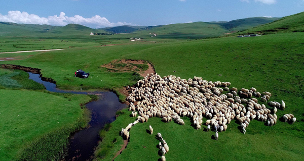 A flood in a small town damaged over 100 homes and forced residents to seek shelter