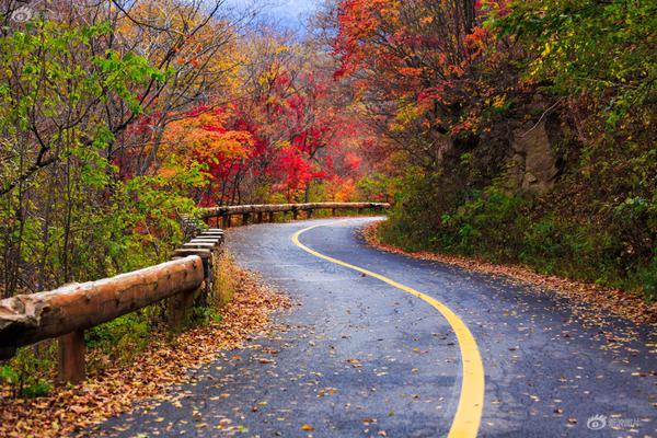 Middle school students designed a solar-powered backpack that charges mobile devices
