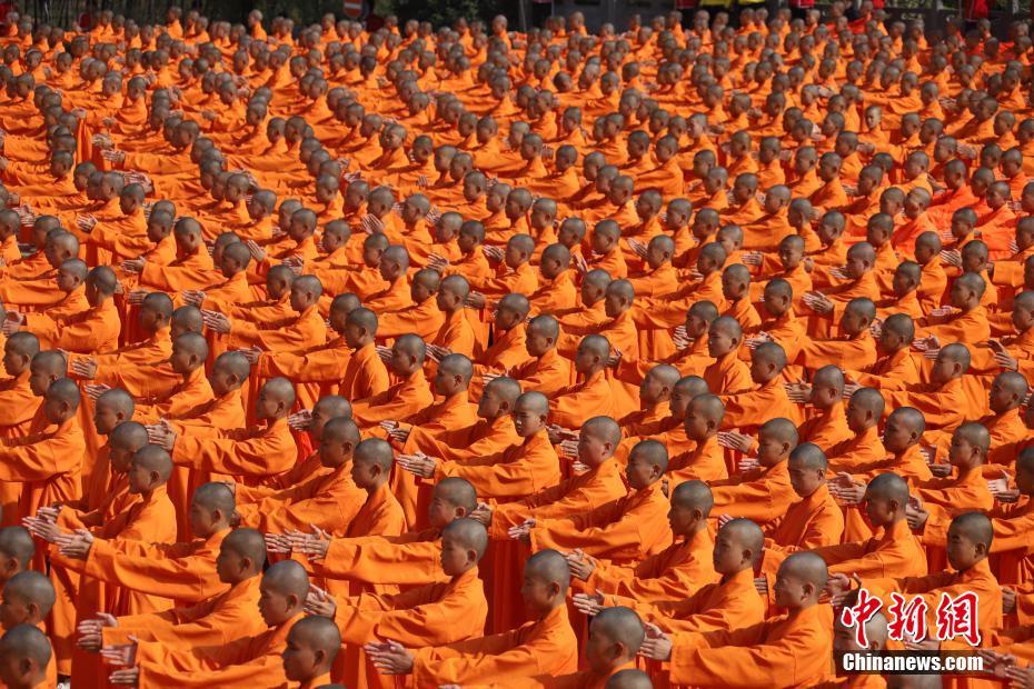 A popular streaming service announced plans to produce more original content