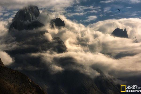 The stock market recovered quickly after a short period of uncertainty