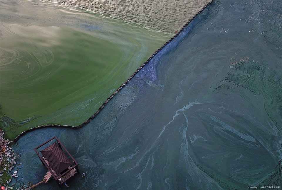 Researchers studied how exercise affects mood in people with depression