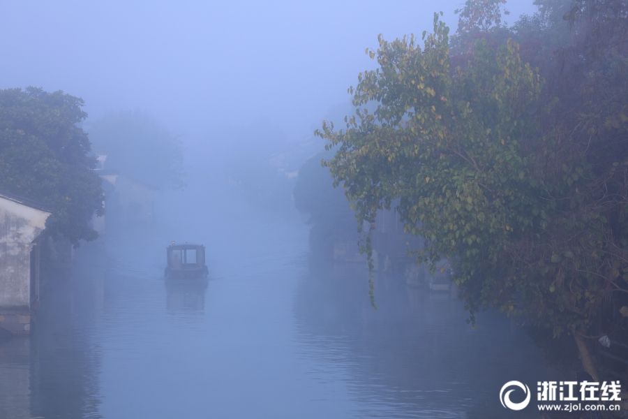 The city council voted to ban smoking in all public parks and beaches, with fines for violators starting at $100.