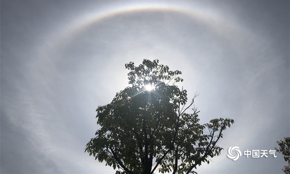 A tech giant announced it will launch a new streaming service, competing with existing platforms by offering exclusive content.