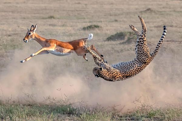 A new survey found 70% of consumers prefer brands prioritizing sustainability