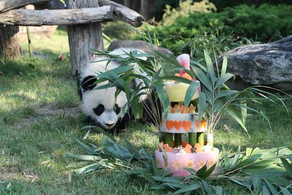 A bookstore hosted a book signing with a famous children’s author