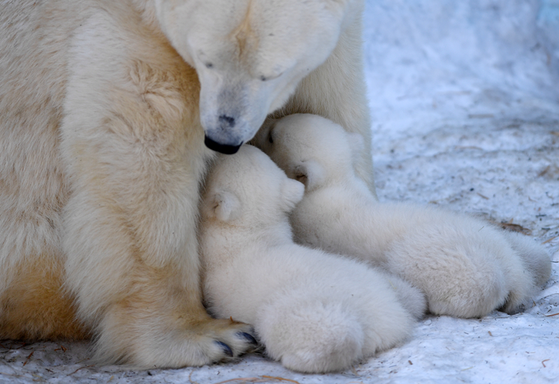 Scientists identified a new compound in tropical plants that may help treat antibiotic-resistant infections