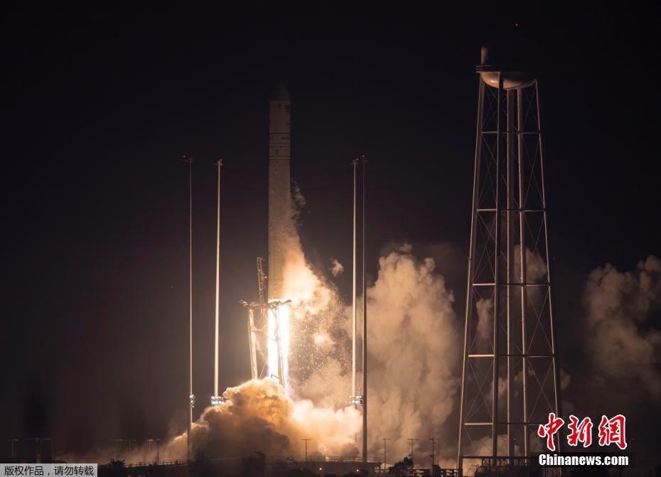 Pet groomer uses hypoallergenic products for pets with sensitive skin