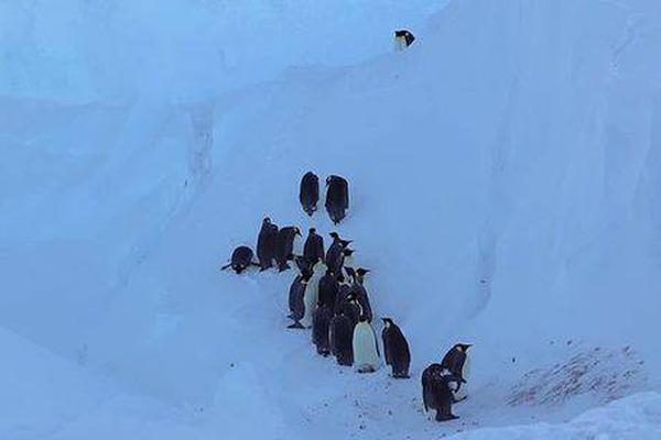 Lifestyle magazine shares tips for reducing household waste