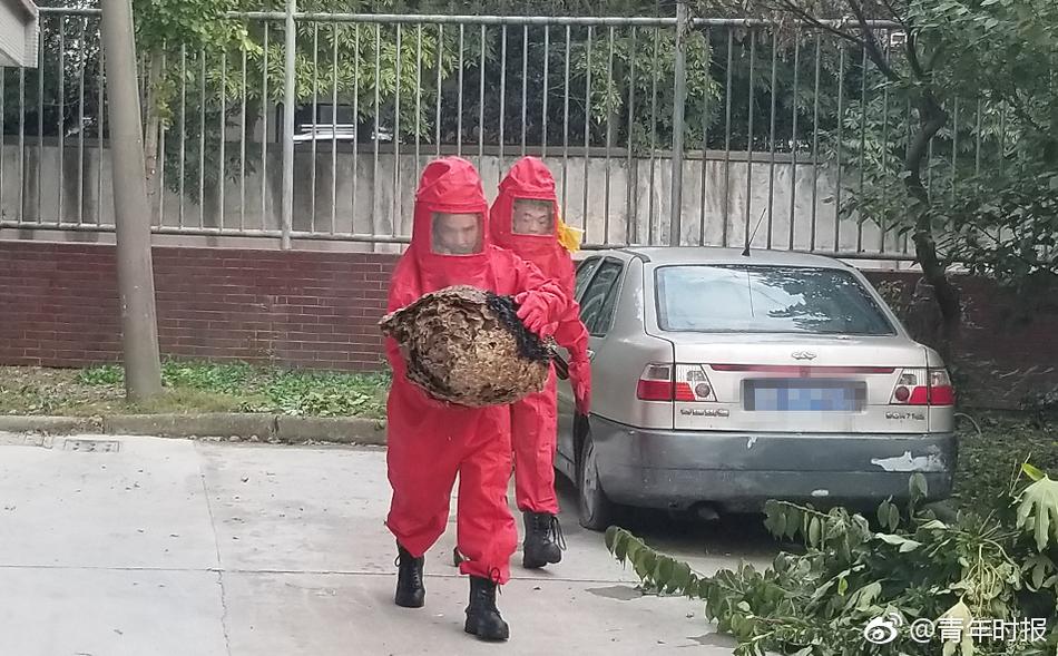 Motorcycle dealership hosts charity ride to support animal rescue groups