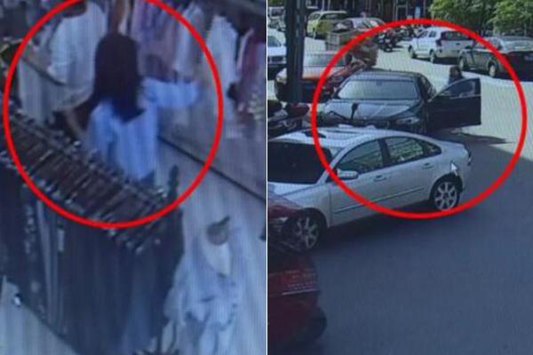 A team of veterinarians opened a clinic that specializes in treating senior pets