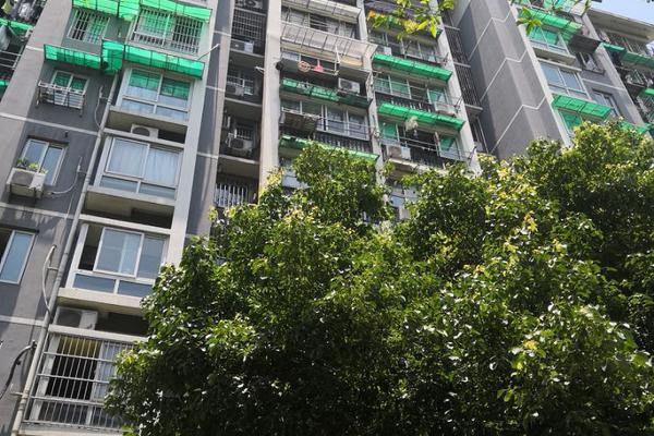 A local theater hosted a festival of short films made by student filmmakers