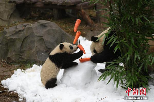 Tech company launches a new smartphone with advanced camera features