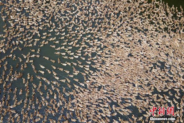 Police department launches campaign to raise awareness about seatbelt use