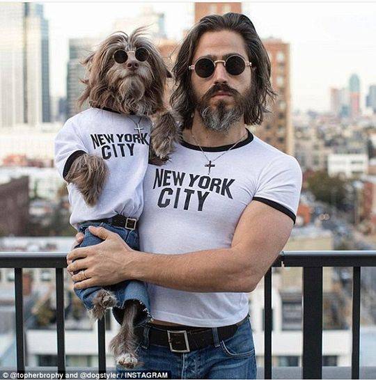 Engineers developed a new type of asphalt that absorbs rainwater to reduce flooding