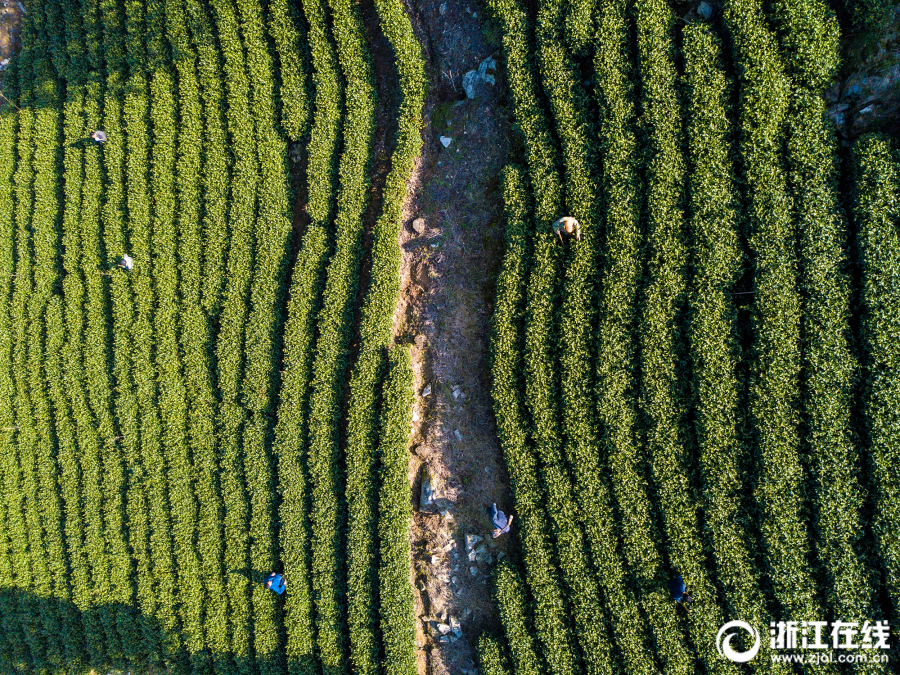 Doctors developed a new treatment for Alzheimer’s disease that slows the progression of the illness