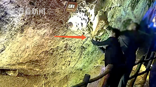 A music festival raised $2.5 million for local animal shelters through ticket sales