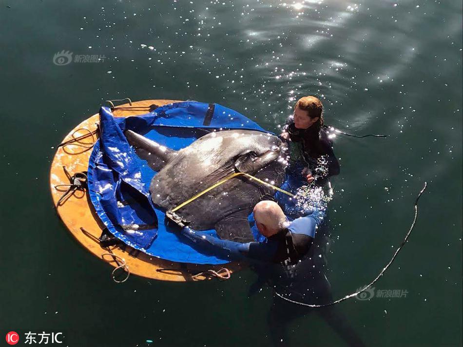 Local businesses participated in a “shop local” campaign to boost the regional economy