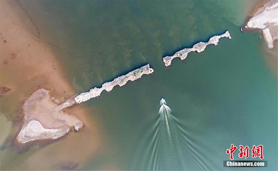 The government released a report showing a 24% increase in renewable energy jobs