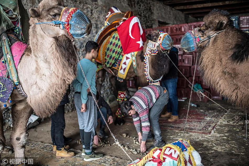 The UN released a report warning that 1 million species are at risk of extinction due to human activities