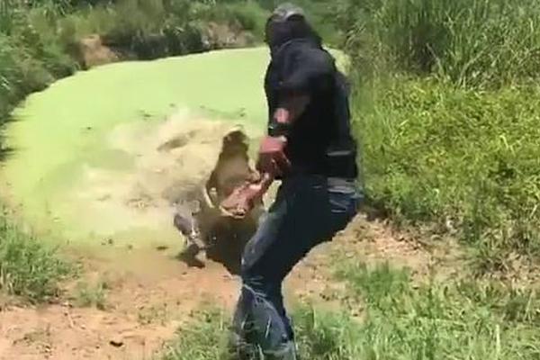 A library started offering 