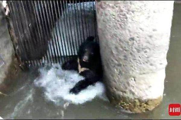 A city council discussed plans to improve public transportation for people with disabilities