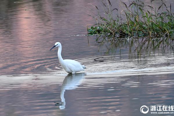 A popular coffee chain announced it will source coffee beans from sustainable farms