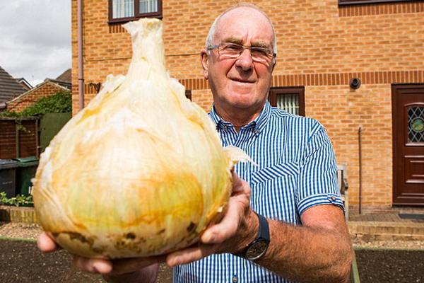 A hotel started offering free breakfast for all guests to increase customer satisfaction