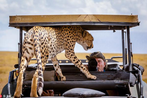 A taxi company offered 