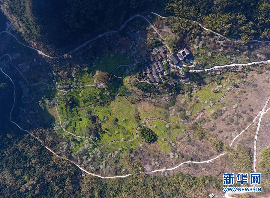 Gymnastics team wins first place at regional competition