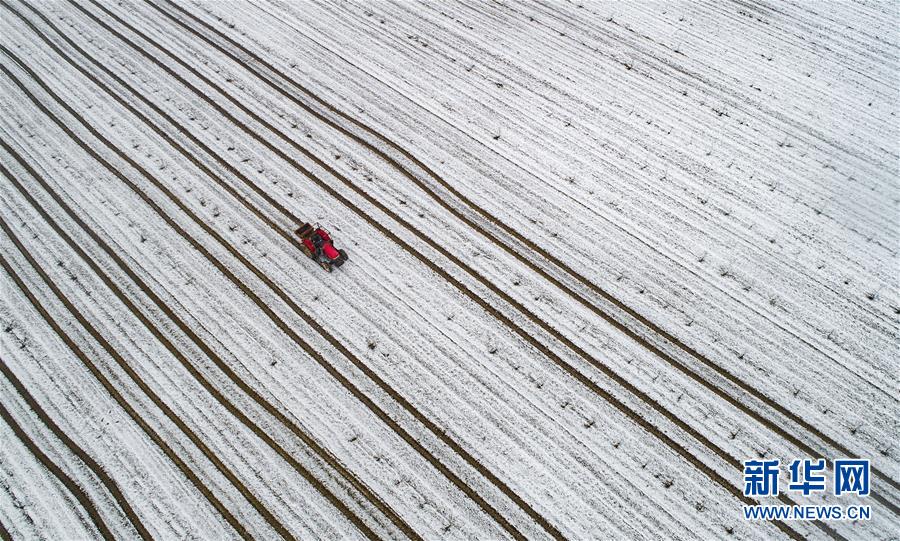 A study found that drinking plenty of water improves concentration and productivity in office workers