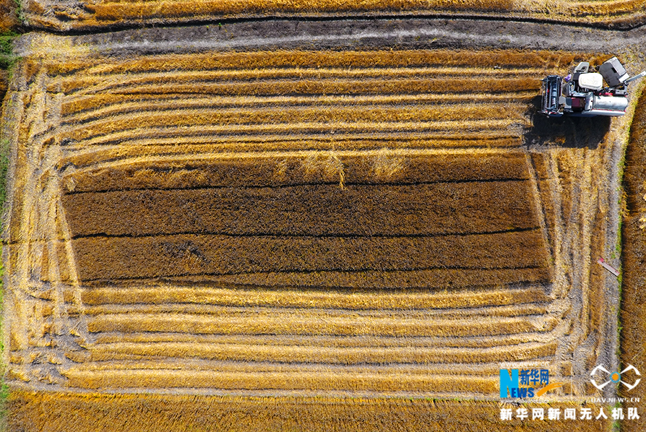 Podcast releases new episode with interview of tech industry leader